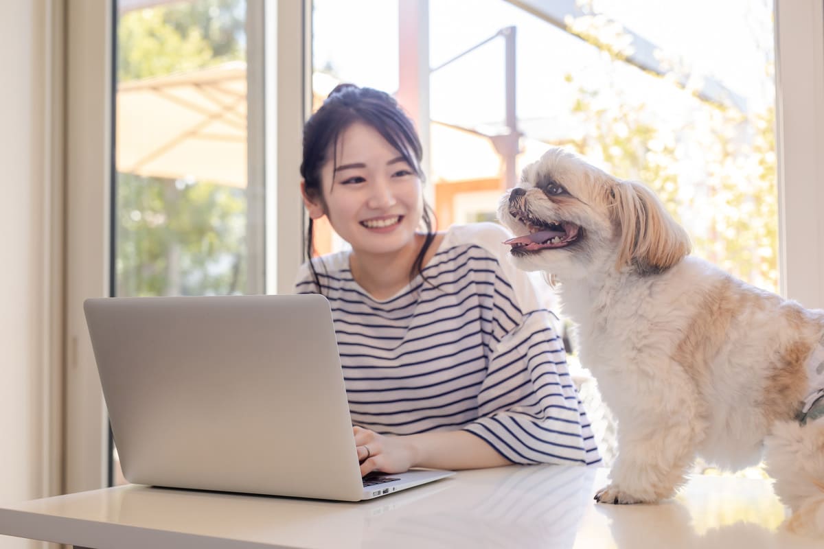 ペット保険は加入するタイミングに気をつけよう