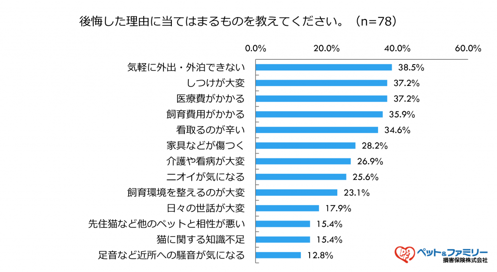 猫を飼って後悔した理由