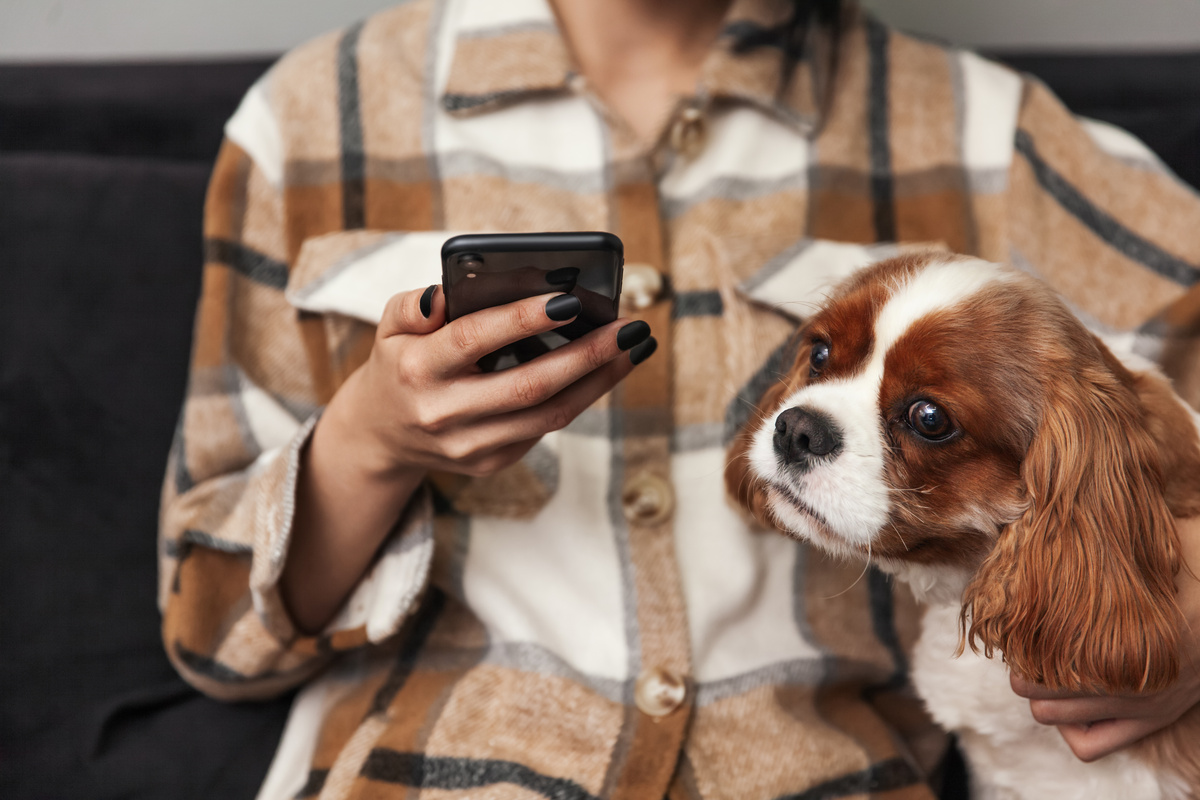 入る前に確認！犬の保険を選ぶ5つのポイント