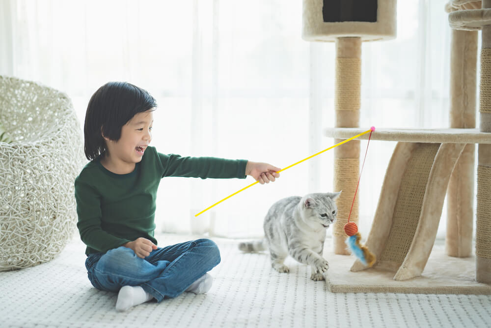 子猫が起きている時に思いっきり遊びましょう