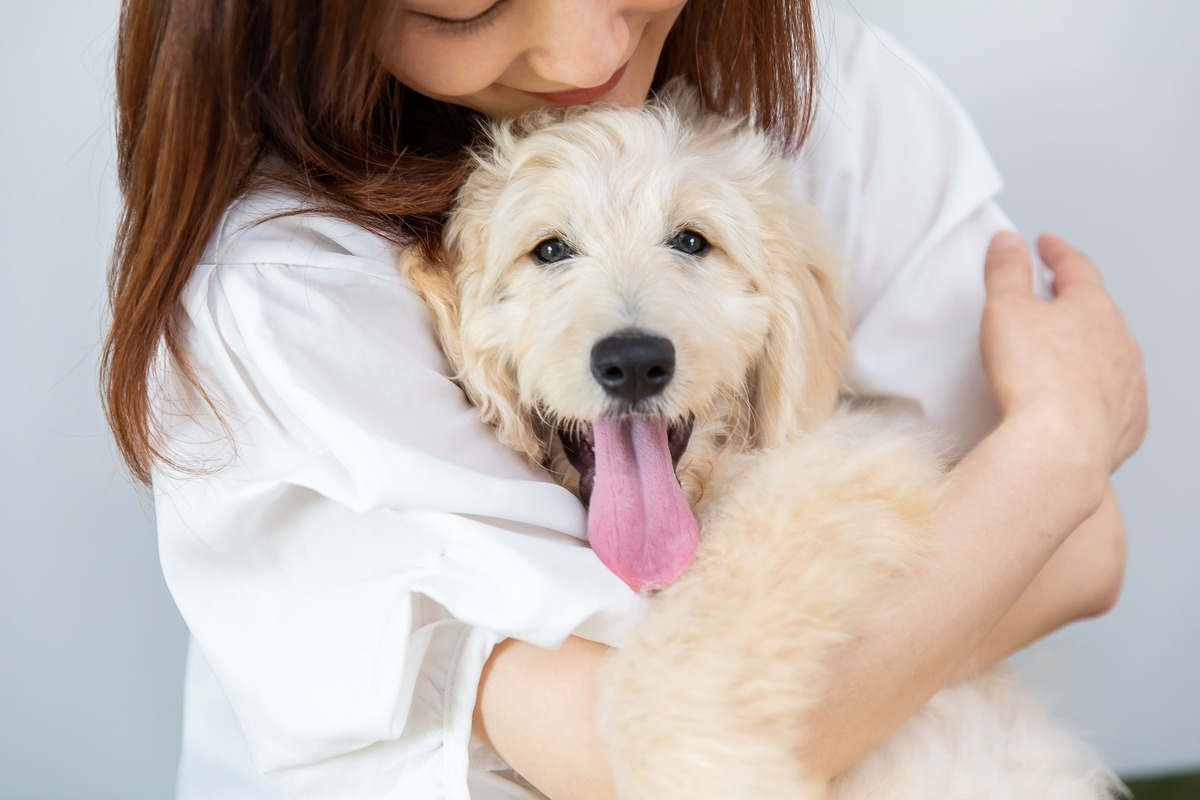 若くて健康なうちに愛犬のペット保険加入を検討しよう