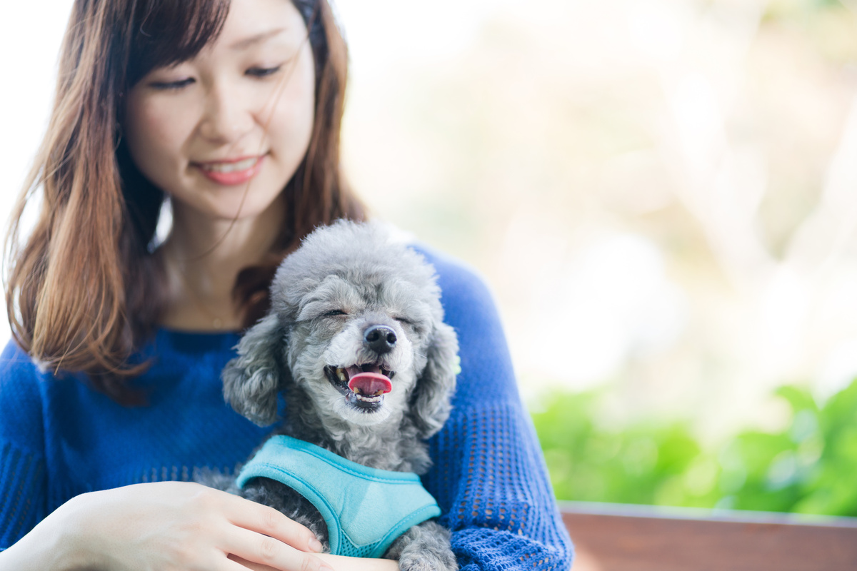 愛犬の動物病院を変えてもペット保険に影響はない