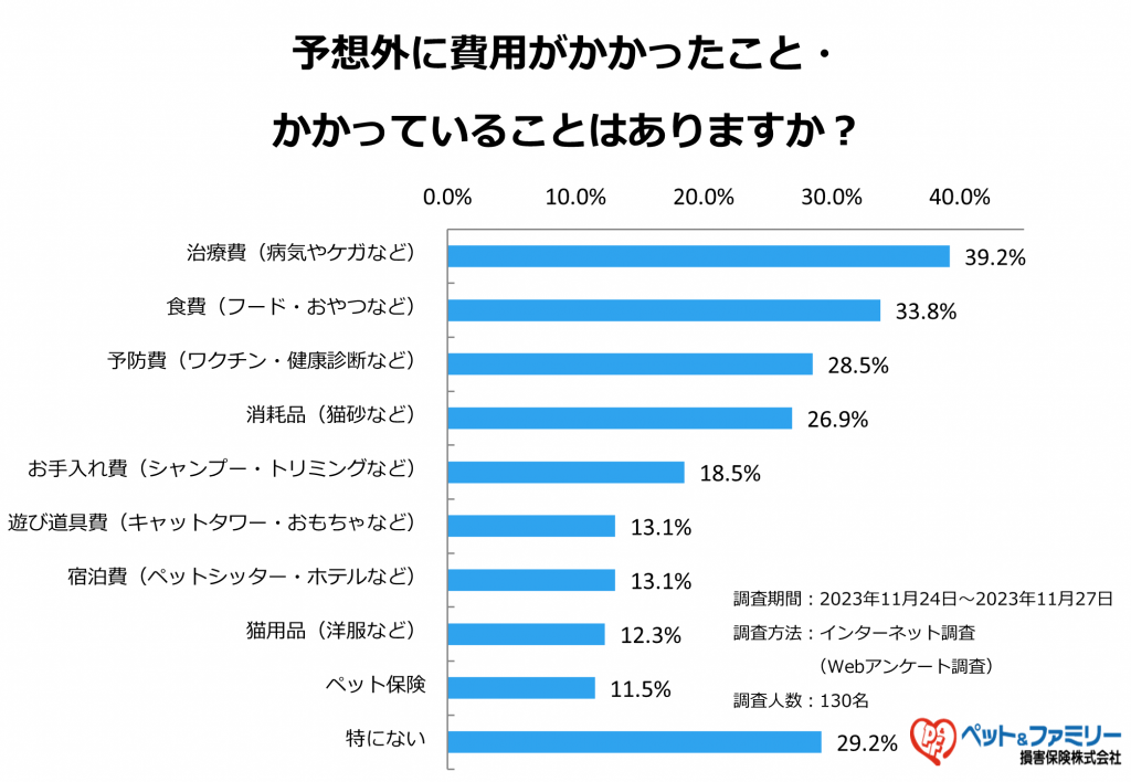 猫を飼っていて感じた、予想外の費用