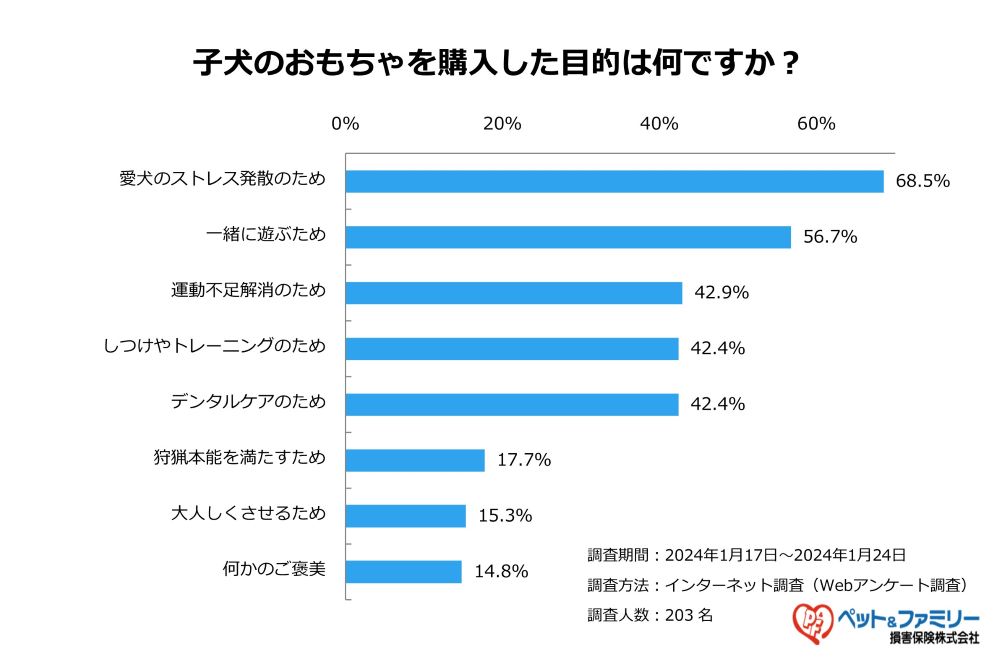 ストレス発散のために子犬におもちゃを与える飼い主さんが多い!