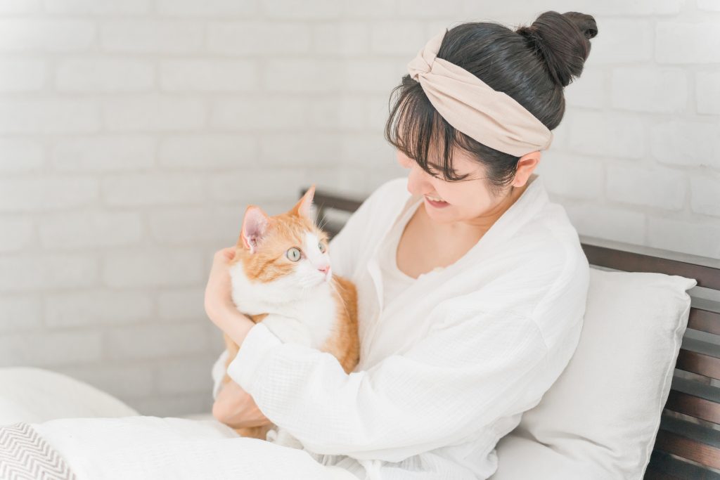 猫のペット保険で補償できる治療費とは