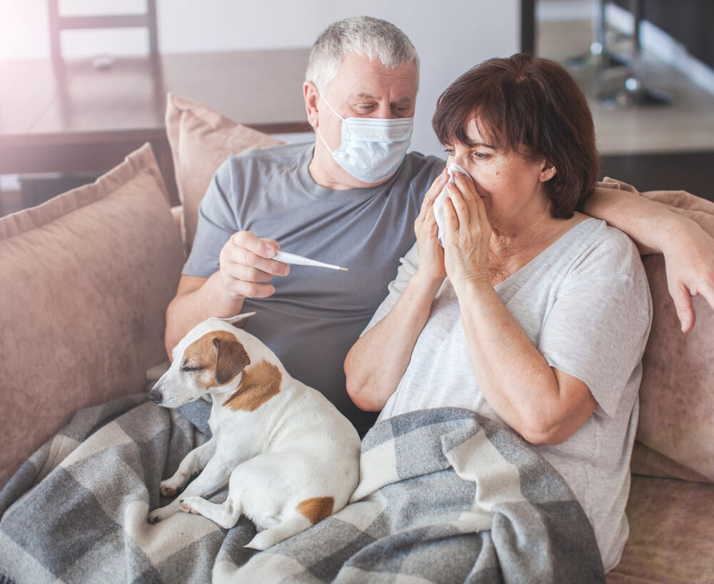人や犬がインフルエンザにかかったらどうする?具体的な対策を紹介