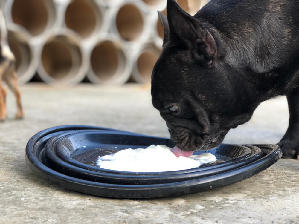 「ヨーグルトは下痢をしにくい」ってホント？