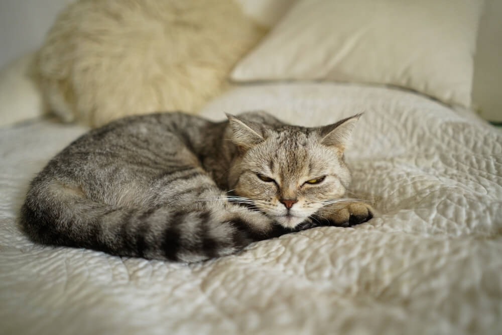 痙攣時（けいれんじ）には慌てて身体を動かさない