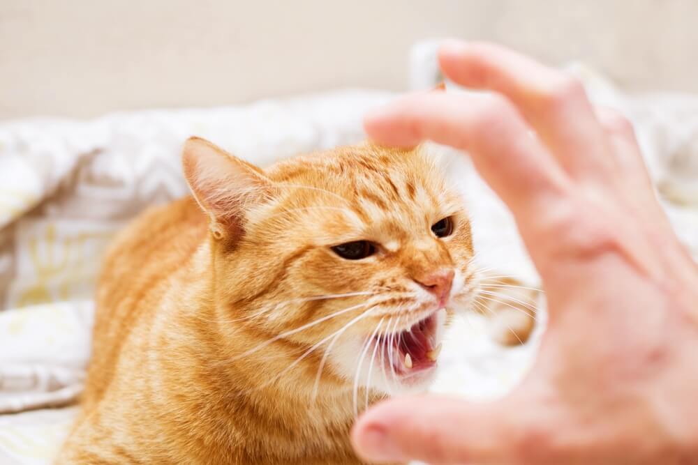 知覚過敏症になっている可能性もある