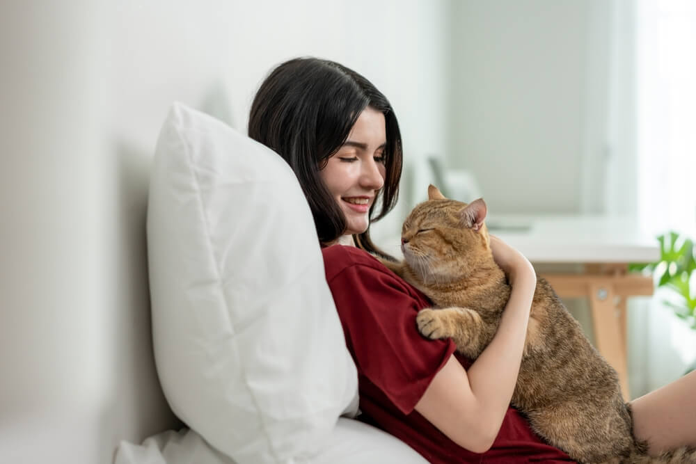 猫の痙攣はよく観察して受診を