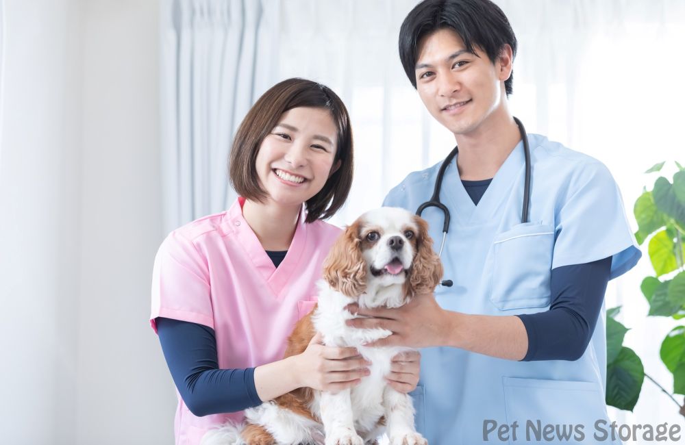 動物病院を受診する際のポイント