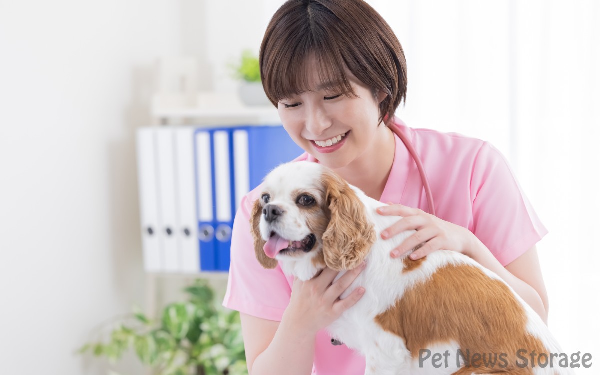 便秘で病院を受診するタイミングは何日くらい？
